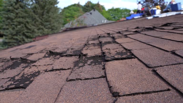 Fast & Reliable Emergency Roof Repairs in Loves Park, IL